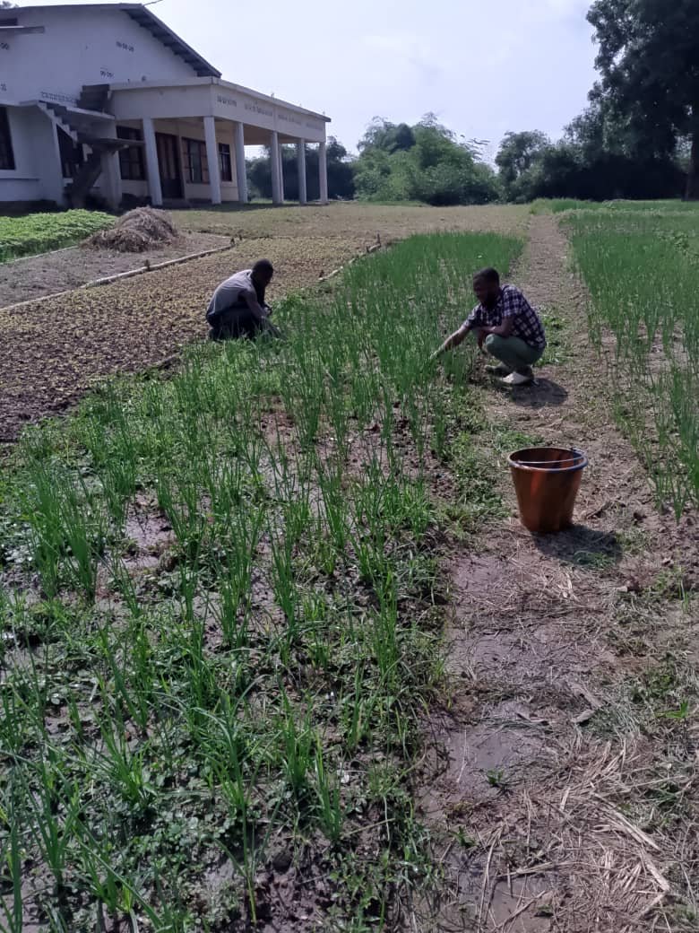Image d'agriculture